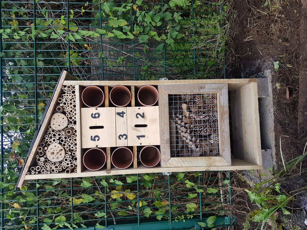 Bee and Bug Hotel 